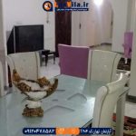 اجاره آپارتمان تهران کد T204