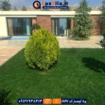 اجاره ویلا کوهسار کد A197