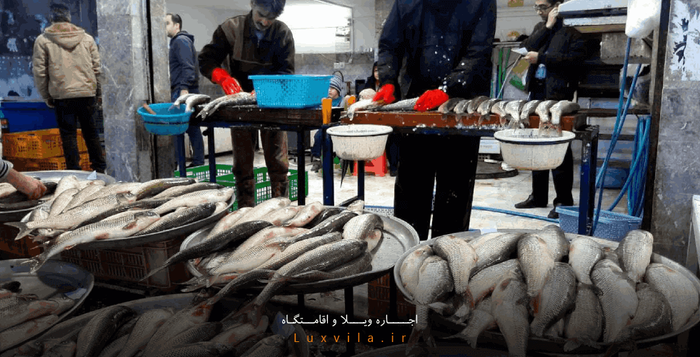 بازار ماهی تنکابن