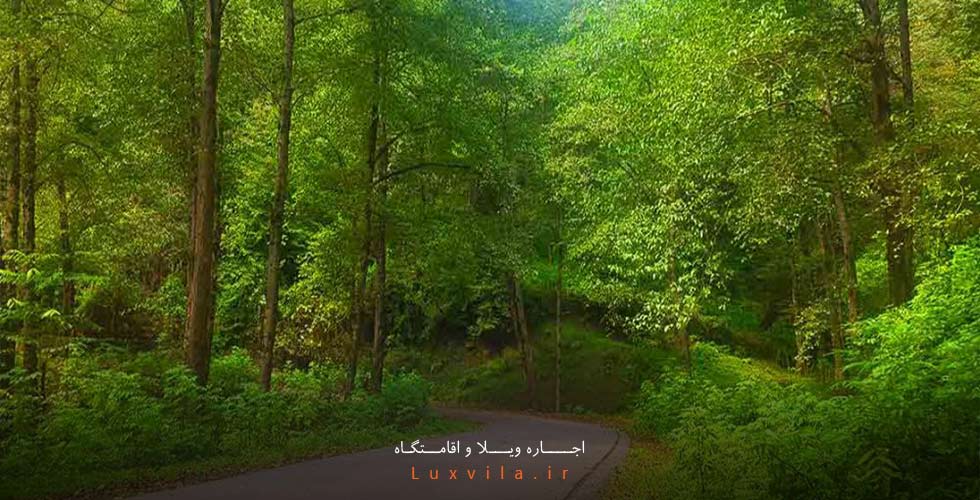 فاصله تهران تا جنگل لفور