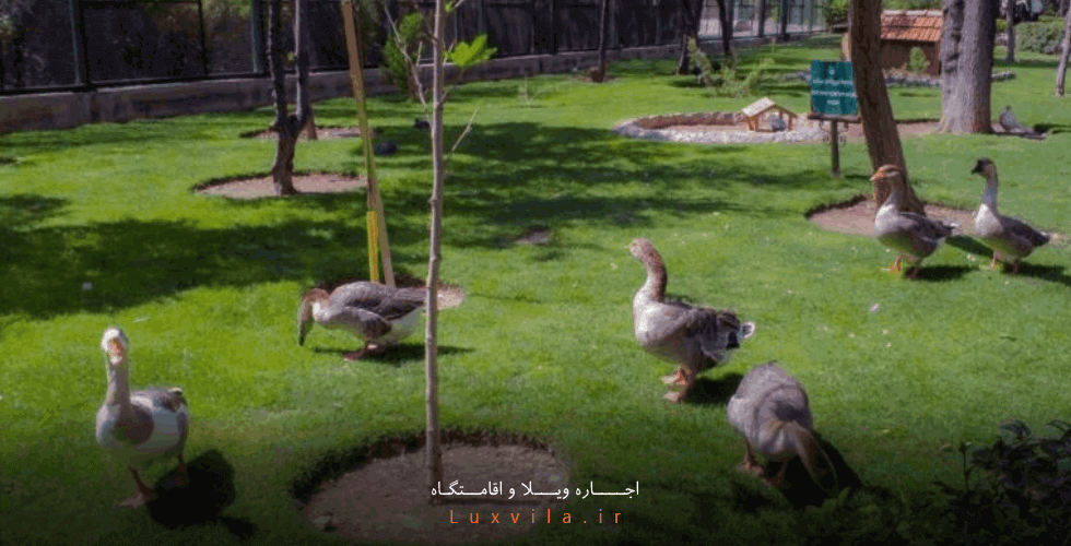 معرفی باغ پرندگان اصفهان