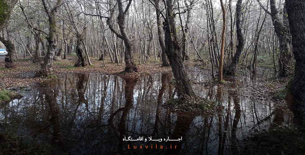 پارک جنگلی کیاشهر